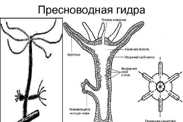 Омг сайт официальный