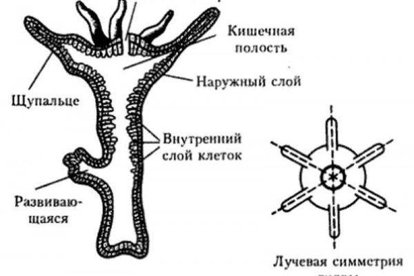 Сайт омг тор