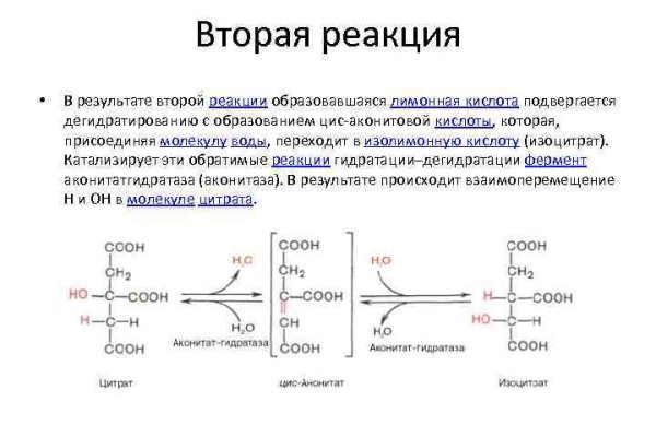 Ссылки омг омг мега